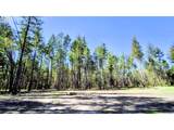 2100 Saratoga Way - Photo 29