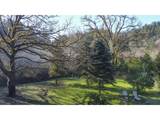 9580 Fork Siuslaw Rd - Photo 6