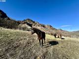 73720 Indian Creek Rd - Photo 28