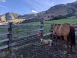 73720 Indian Creek Rd - Photo 4