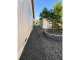 2409 Chinaberry Ave - Photo 25