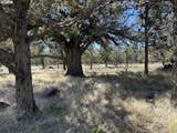 13330 Airstrip Ln - Photo 15