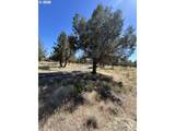 13330 Airstrip Ln - Photo 16