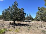 13330 Airstrip Ln - Photo 3