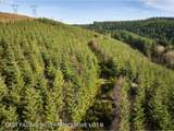 0 Kellett Rd - Photo 8