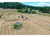 24880 Orchard Tract Rd - Photo 3