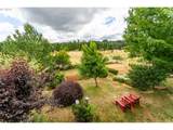 24880 Orchard Tract Rd - Photo 41