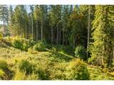 39412 31st Ave - Photo 5