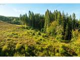 39412 31st Ave - Photo 6