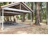 1430 Birch Ct - Photo 39