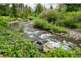 45542 Gate Creek Rd - Photo 18
