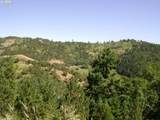 0 Newton Creek Rd - Photo 2