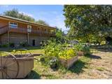 123 Burchard Dr - Photo 28