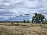 59047 Old Lake Rd - Photo 48