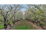 4510 Oleary Rd - Photo 12