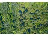 9905 Sandridge Rd - Photo 19