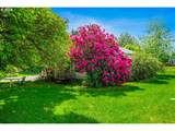403 409 156TH Ave - Photo 3