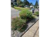 1028 Cascade Ave - Photo 31