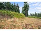 34640 Ellis Rd - Photo 33