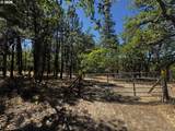 31 Oak Meadow Way - Photo 1