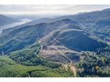 0 Usfs 81 Rd - Photo 11