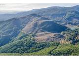 0 Usfs 81 Rd - Photo 12