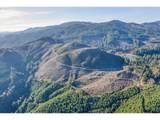 0 Usfs 81 Rd - Photo 13