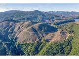 0 Usfs 81 Rd - Photo 14