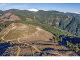0 Usfs 81 Rd - Photo 4