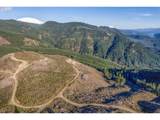 0 Usfs 81 Rd - Photo 5