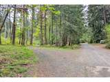 38220 Boscage Ln - Photo 10