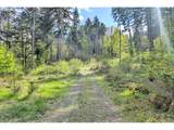 38220 Boscage Ln - Photo 11
