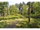 38220 Boscage Ln - Photo 13