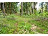 38220 Boscage Ln - Photo 15