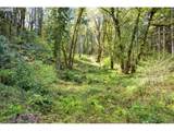 38220 Boscage Ln - Photo 19