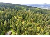 38220 Boscage Ln - Photo 28