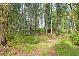 38220 Boscage Ln - Photo 3
