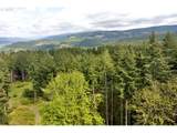 38220 Boscage Ln - Photo 30