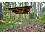 38220 Boscage Ln - Photo 9