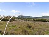 18101 Applegate Rd - Photo 12