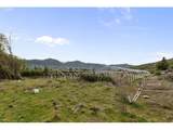 18101 Applegate Rd - Photo 13