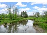 11175 Blakeney St - Photo 43