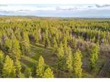 0 Lot 15 Greyback Mt Rd - Photo 1