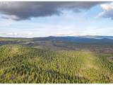 0 Lot 15 Greyback Mt Rd - Photo 2