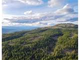 0 Lot 15 Greyback Mt Rd - Photo 6