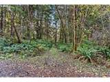  Lot 35 - Photo 4