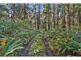  Lot 35 - Photo 5