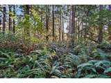  Lot 35 - Photo 7