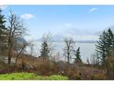 250 Lower Basso Cir - Photo 44