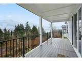 250 Lower Basso Cir - Photo 47